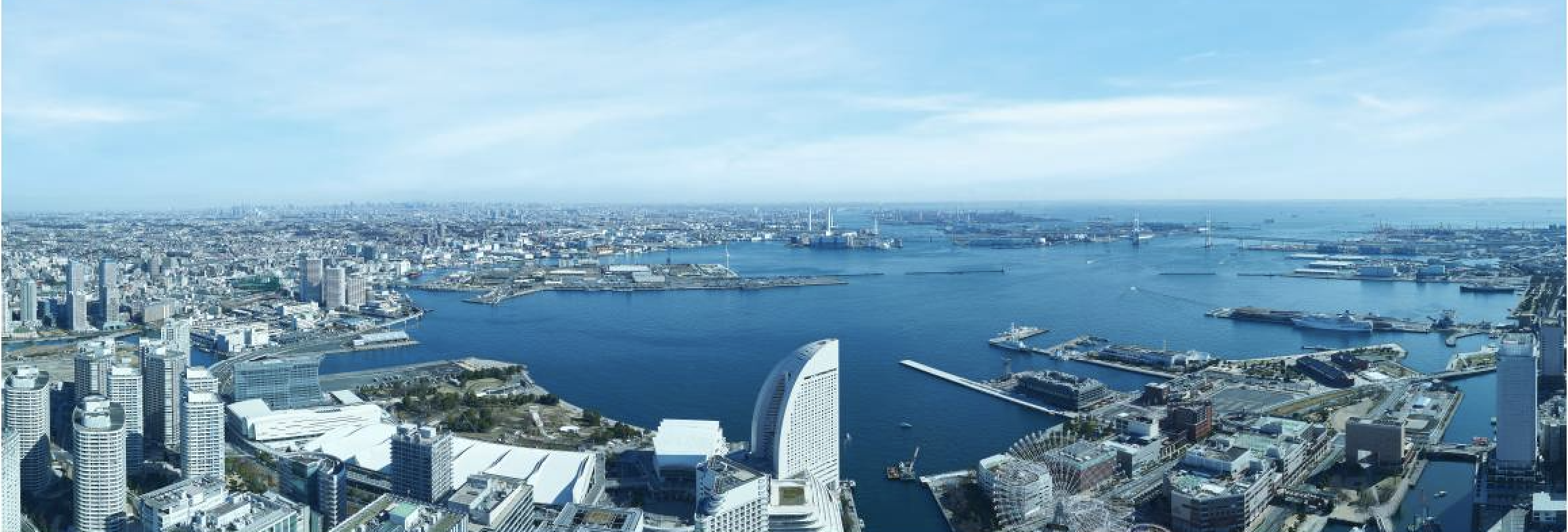 スカイガーデン